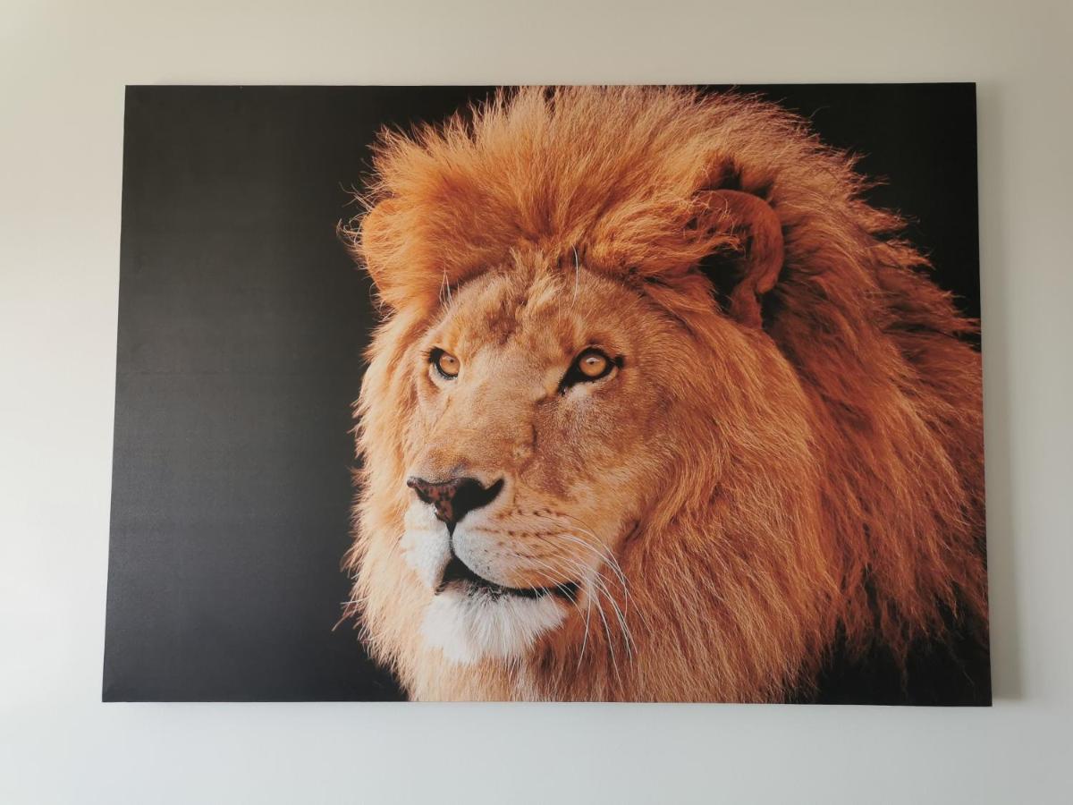 Butas Lion